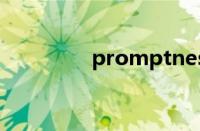 promptness（prompt）