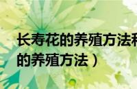 长寿花的养殖方法和注意事项 盆栽（长寿花的养殖方法）