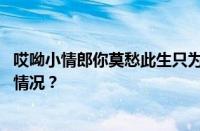 哎呦小情郎你莫愁此生只为你挽红袖是什么歌曲 目前是什么情况？