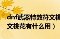 dnf武器特效符文桃花下架（dnf武器特效符文桃花有什么用）