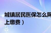 城镇居民医保怎么网上缴费（城镇居民医保网上缴费）