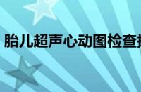 胎儿超声心动图检查报告（胎儿超声心动图）