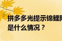 拼多多光提示锦鲤附体就没机会成了吧 目前是什么情况？