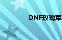 DNF玫瑰军团（dnf玫瑰）