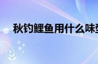 秋钓鲤鱼用什么味型的饵料（秋钓鲤鱼）