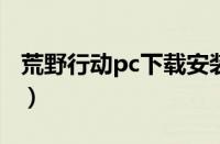 荒野行动pc下载安装（荒野行动pc plus下载）