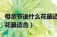 母亲节送什么花最适合母亲呢（母亲节送什么花最适合）