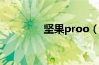 坚果proo（坚果pro评测）