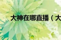 大神在哪直播（大神hd直播隐藏房间）