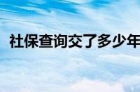 社保查询交了多少年在哪里查（社保 查询）