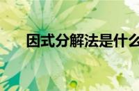 因式分解法是什么意思（因式分解法）