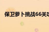 保卫萝卜挑战66关攻略（保卫萝卜挑战6）