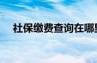 社保缴费查询在哪里查（社保缴费查询）