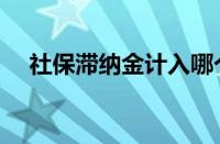 社保滞纳金计入哪个科目（社保滞纳金）