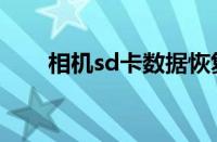 相机sd卡数据恢复（sd卡数据恢复）