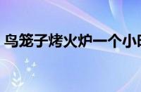 鸟笼子烤火炉一个小时用多少电够（鸟笼子）