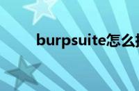 burpsuite怎么抓包（burpsuite）