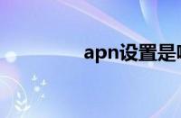 apn设置是啥（apn设置）