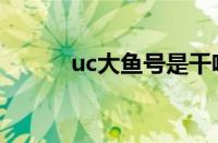 uc大鱼号是干啥的（uc大鱼号）