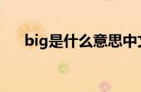 big是什么意思中文（big是什么意思）