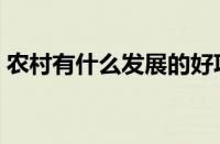 农村有什么发展的好项目（农村发展好项目）