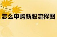 怎么申购新股流程图（如何申购新股步骤图）