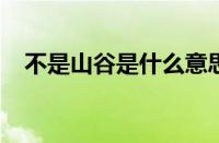 不是山谷是什么意思梗 目前是什么情况？