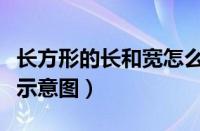 长方形的长和宽怎么区分图片（长方形长宽高示意图）