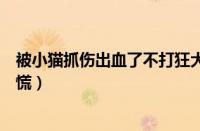 被小猫抓伤出血了不打狂犬疫苗可以（被小猫抓伤了不要恐慌）