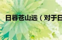 日暮苍山远（对于日暮苍山远的情况介绍）