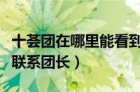 十荟团在哪里能看到团长电话呢（十荟团怎么联系团长）