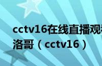 cctv16在线直播观看正在直播高清西班牙摩洛哥（cctv16）