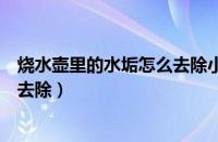 烧水壶里的水垢怎么去除小妙招视频（烧水壶里的水垢怎么去除）