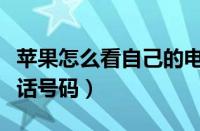 苹果怎么看自己的电话号码（怎么看自己的电话号码）