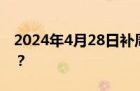 2024年4月28日补周几的课 目前是什么情况？