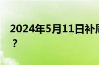 2024年5月11日补周几的课 目前是什么情况？