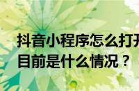 抖音小程序怎么打开？小程序推广赚钱吗？ 目前是什么情况？