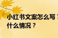 小红书文案怎么写？文案怎么复制？ 目前是什么情况？