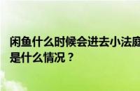 闲鱼什么时候会进去小法庭？闲鱼小法庭可以撤销吗？ 目前是什么情况？