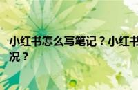 小红书怎么写笔记？小红书怎么写笔记赚钱？ 目前是什么情况？