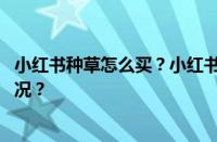 小红书种草怎么买？小红书种草是什么意思？ 目前是什么情况？