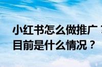 小红书怎么做推广？小红书做推广多少钱？ 目前是什么情况？