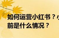 如何运营小红书？小红书运营规则和技巧 目前是什么情况？