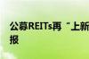 公募REITs再“上新” 两只公募REITs同日申报