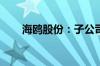 海鸥股份：子公司增资7547.40万元