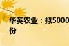 华英农业：拟5000万元至1亿元回购公司股份