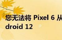 您无法将 Pixel 6 从 Android 13 降级到 Android 12