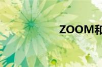 ZOOM和OKZOOM