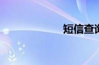 短信查询手机流量