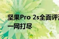 坚果Pro 2s全面评测：性能升级与特色功能一网打尽